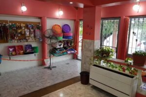 Peluquer&iacute;a Canina NOELIA luzuriaga Maip&uacute;