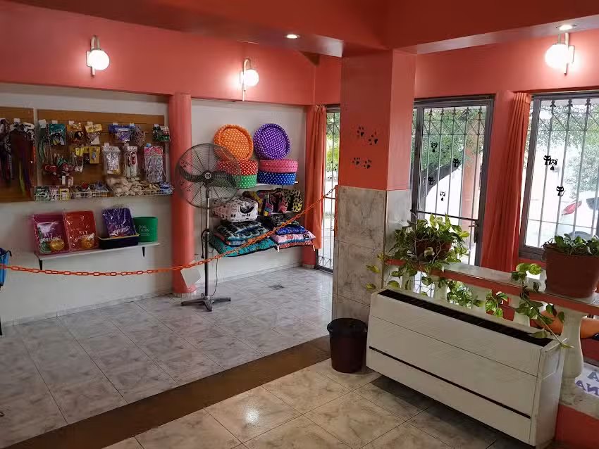 Peluquer&iacute;a Canina NOELIA luzuriaga Maip&uacute;