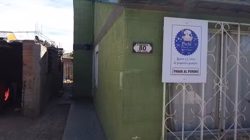 Peluqueria Canina Pachi