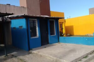 PELUQUERIA CANINA Pelu Can