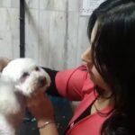 Peluqueria Canina &ldquo;Pocas Pulgas&rdquo;
