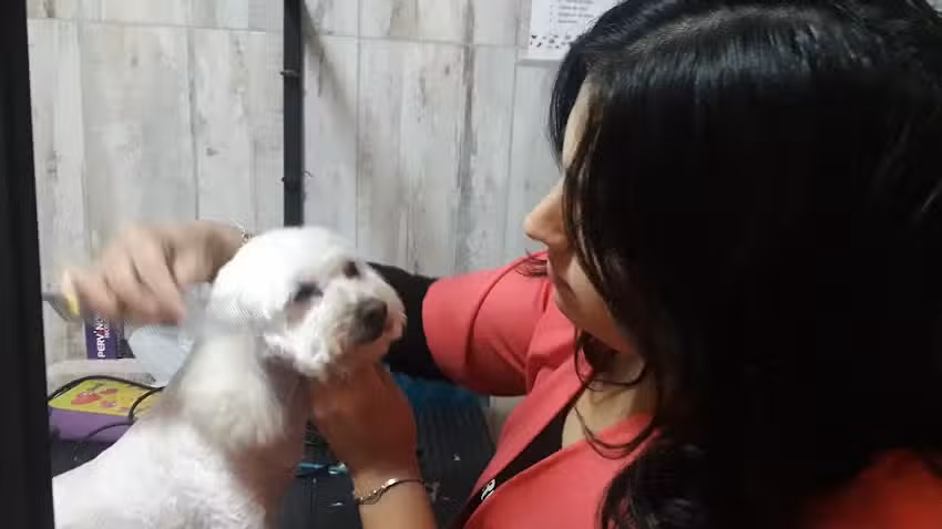 Peluqueria Canina &ldquo;Pocas Pulgas&rdquo;