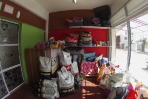 Peluqueria Canina Ponme Pechocho