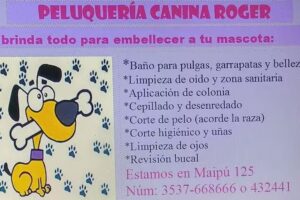 Peluquería canina Roger…
