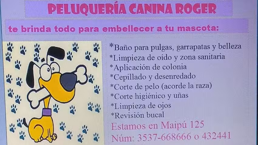 Peluquer&iacute;a canina Roger&hellip;