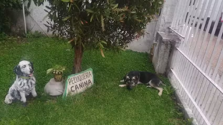 Peluquer&iacute;a canina Romina Rivarola