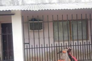 Peluquería canina STILO CAN