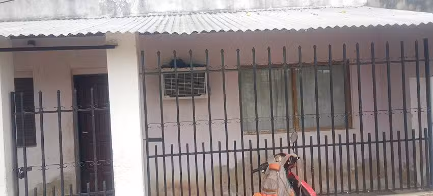 Peluquer&iacute;a canina STILO CAN