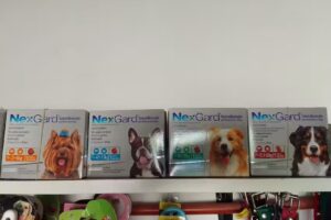 Peluqueria canina y pet shop. Alejandra Acosta