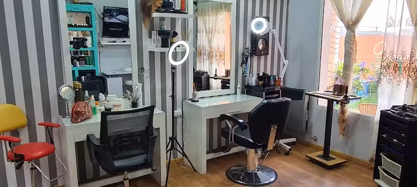 Peluquer&iacute;a Carol Stylista