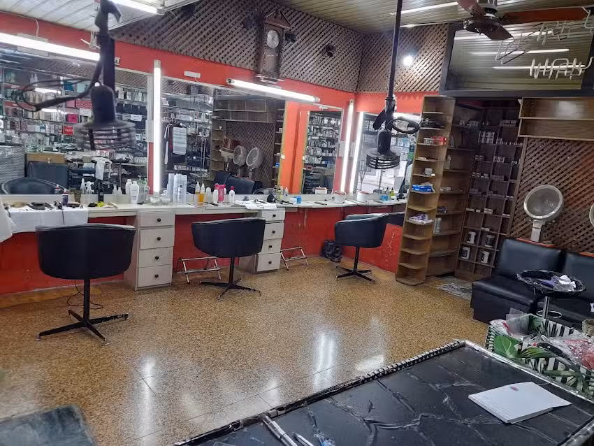 Peluqueria Carolina Costa Alta Tecnica En Color