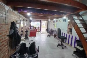 PELUQUER&Iacute;A CELSA