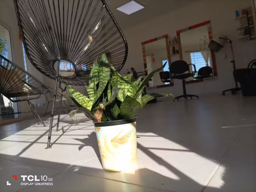 Peluquer&iacute;a Debora