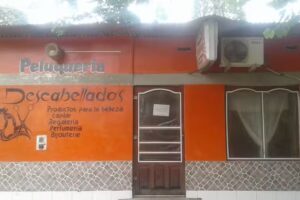 Peluqueria Descabellados unisex