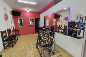 Peluquería Doble Estilo