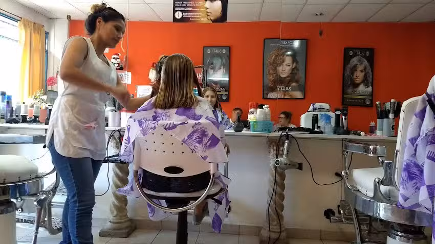 Peluqueria El Salon De Belleza Unisex