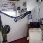 Peluquer&iacute;a F&eacute;nix