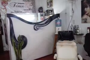 Peluquer&iacute;a F&eacute;nix