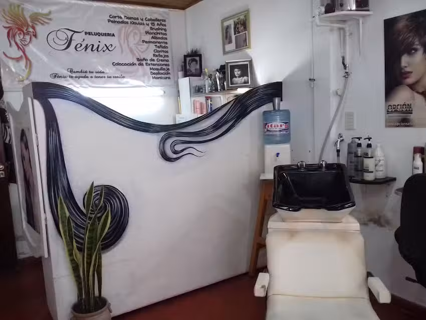 Peluquer&iacute;a F&eacute;nix