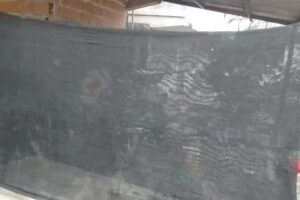 Peluquería Isidorito