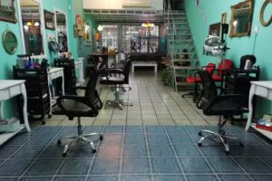 Peluquer&iacute;a Lion Style