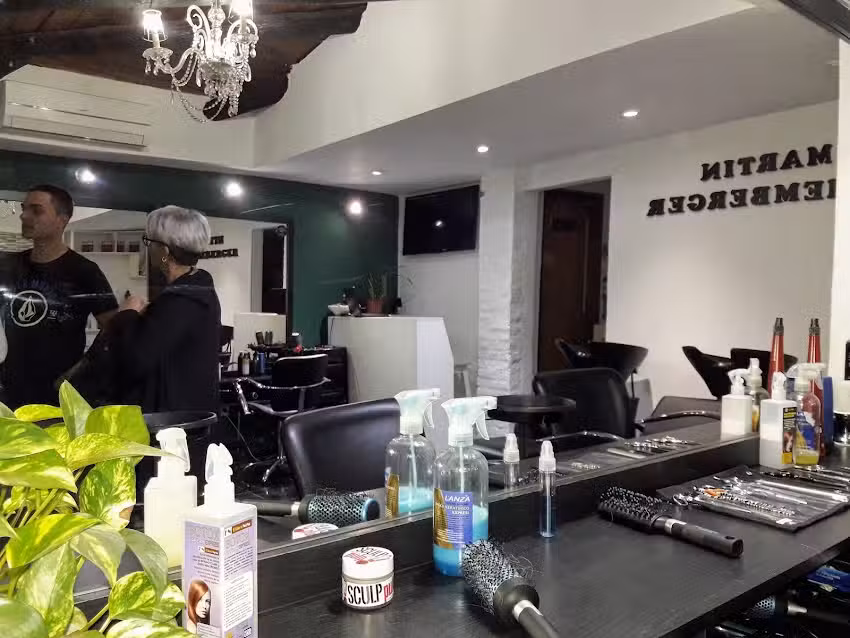 Peluquer&iacute;a Mart&iacute;n Schemberger
