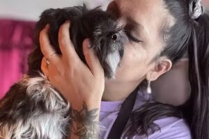 Peluqueria patitas felices