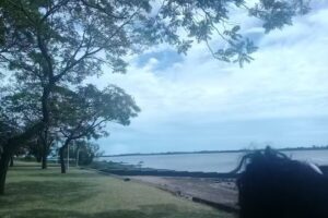 Peluquer&iacute;a Pigmentos Servicios Integrales De Belleza