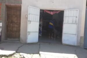 Peluquer&iacute;a Piojo Loco