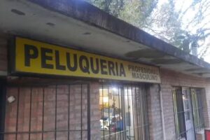 Peluquer&iacute;a Profesional Masculina