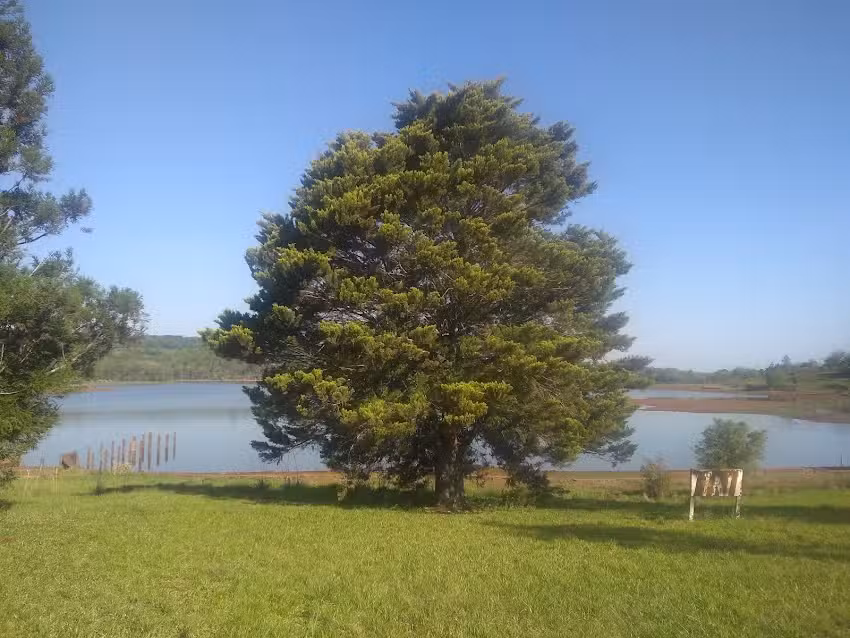 Peluquer&iacute;a saltito 1