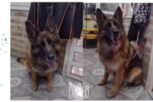 Peluquer&iacute;a Shampoo