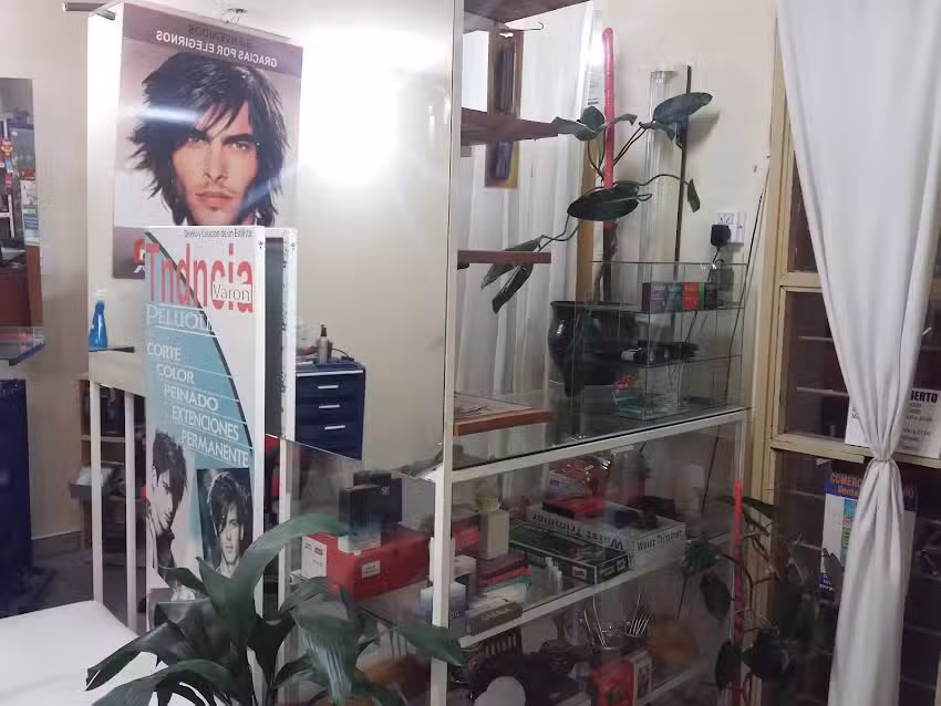 Peluquer&iacute;a Tendencia Anexo Regaler&iacute;a-Kiosco