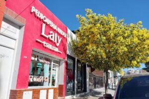 Peluquería Unisex Laly Estilista