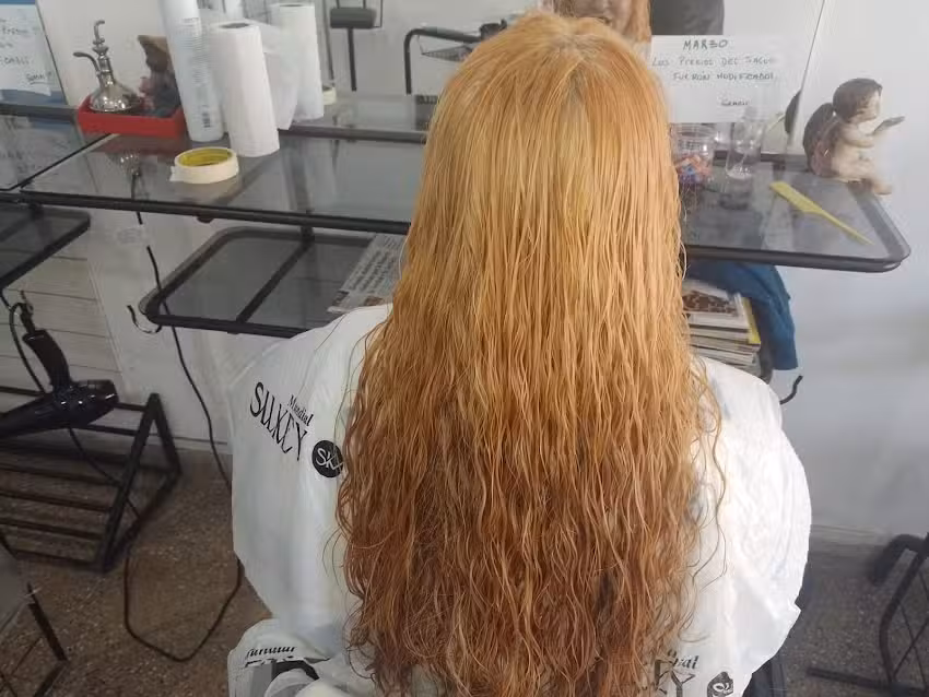 Peluquer&iacute;as Lara Samuel y Brenda