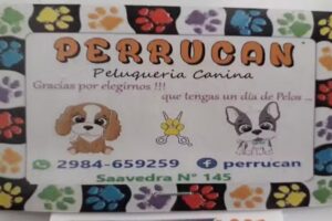 Perrucan