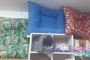 Pet Shop – Peluquería Canina