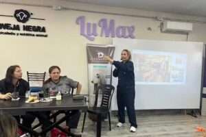 Pichipurris | Peluquer&iacute;a canina y felina