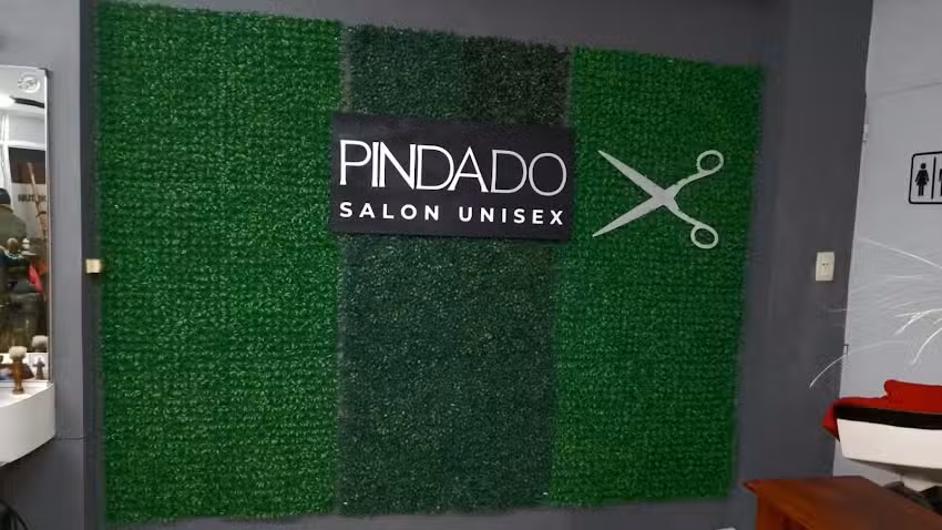 Pindado peluqueria