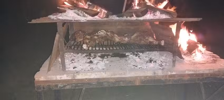 Pitucos peluquer&iacute;a canina