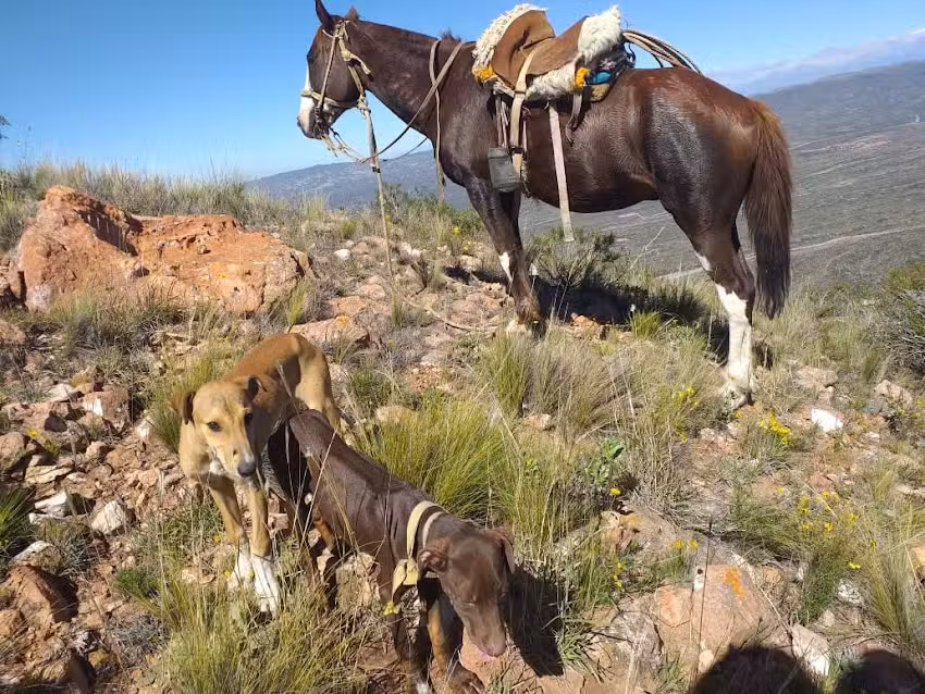 Puesto Aguas de las Avispas de Joaqu&iacute;n Alfredo Alvarado