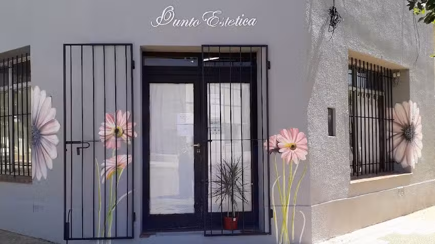 Punto Est&eacute;tica