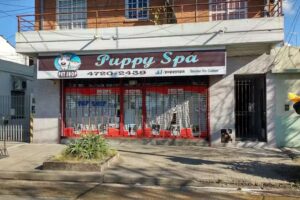 Puppy Spa