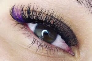 Rocio Florentin estudio profesional