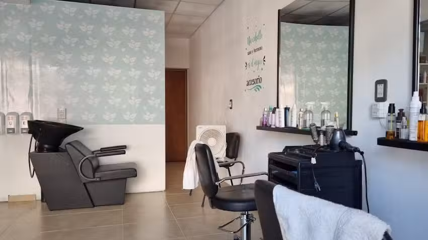 Romina Crispens estilista