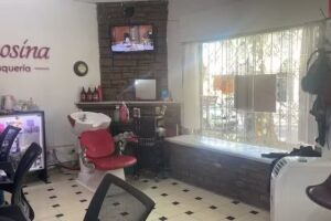 Rosina Peluqueria unisex