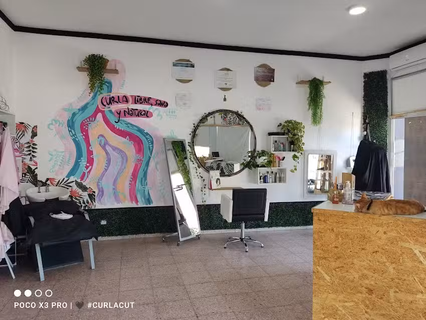 Rulos Cultura Sal&oacute;n