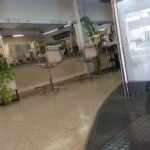 Sal&oacute;n Bernardo