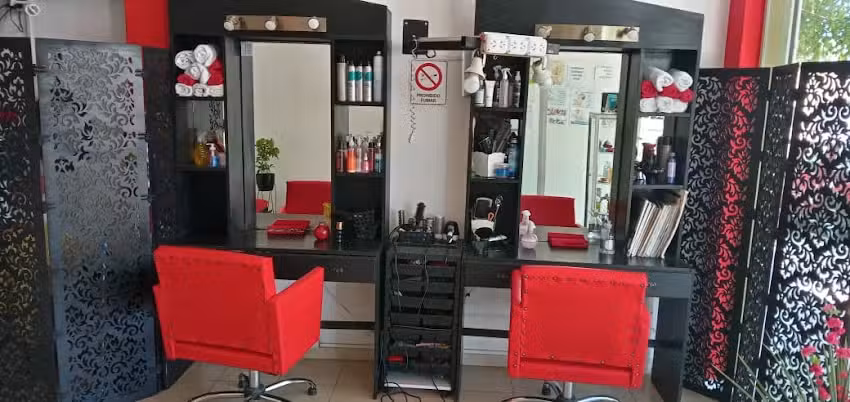 SAL&Oacute;N DE BELLEZA GUAPPAS Y FACHAS
