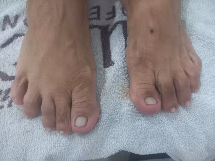 Sal&oacute;n de belleza integral